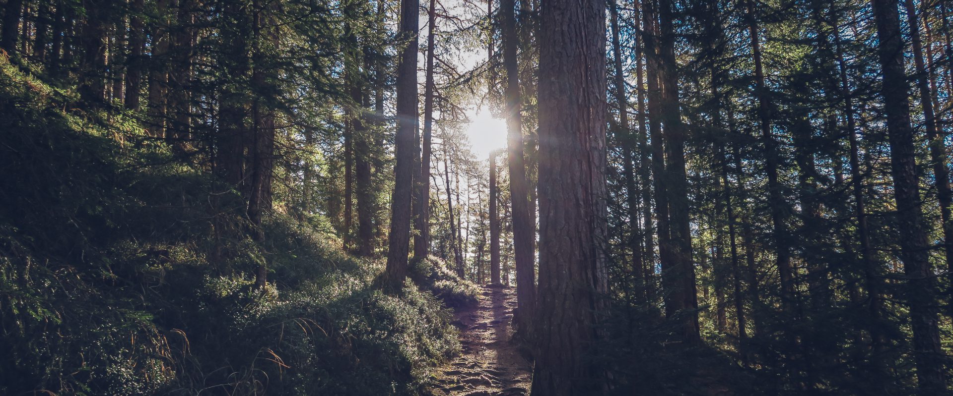 Connie Brummel Crook